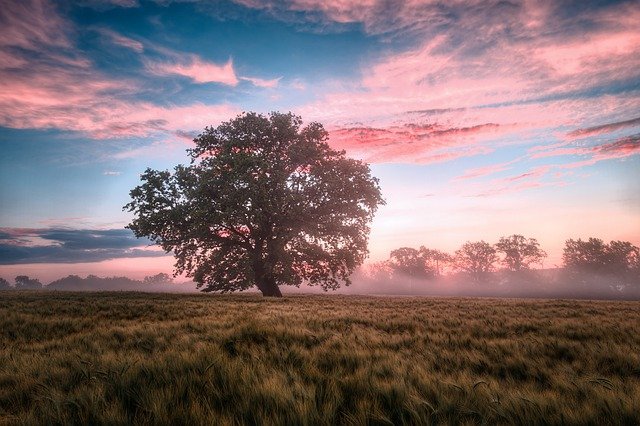 nature-name-quiz-what-is-your-nature-name