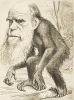 Darwin Quote Generator