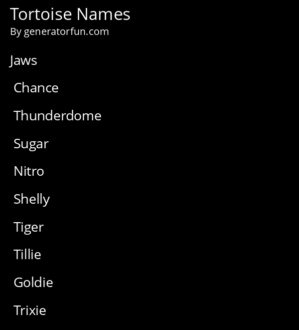 Tortoise Names
